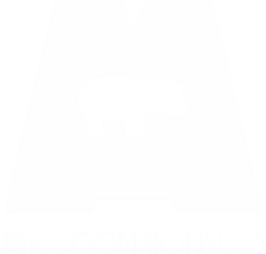 Logo Milodon Conseil